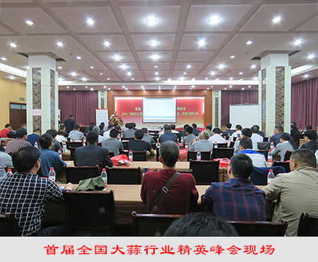 首屆全國(guó)大蒜行業(yè)精英峰會(huì)現(xiàn)場(chǎng)
