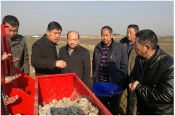 淮南市大力推廣馬鈴薯機械化種植技術 ()