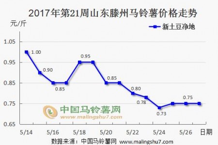 土豆行情持續(xù)推進 價格波動不明顯 ()