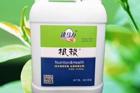 公司熱銷(xiāo)產(chǎn)品 (14)