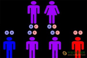 最新發(fā)現(xiàn)：朋友間有相同的基因！ ()