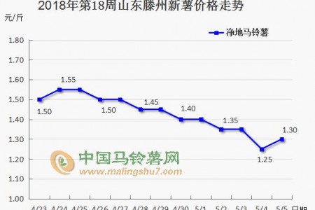 新薯大量上市 薯市能否逆襲？ ()
