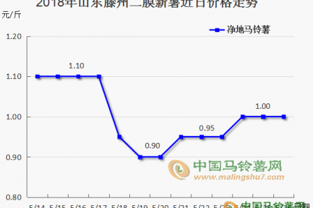 露天薯陸續(xù)入市  6月薯市能否安穩(wěn)？ ()