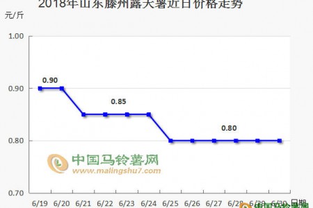 價(jià)格跳水后，后期能保持平穩(wěn)嗎 ()