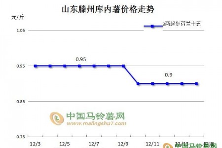 薯市低迷，后市是否可期？ ()