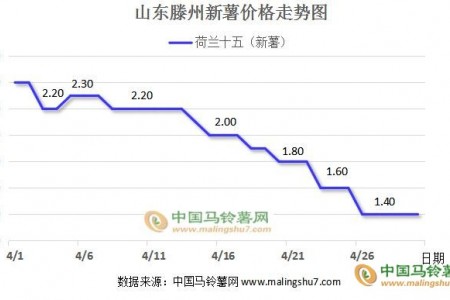 新薯價(jià)格高開(kāi)低走 庫(kù)薯交易漸近尾聲 ()