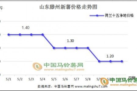 山東新薯貨多價(jià)跌 貴州新薯行情向好 ()