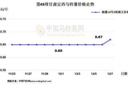 薯市整體維穩(wěn) 定西購銷兩旺 ()
