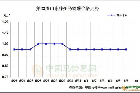 露天新薯即將登場 薯市將如何發(fā)展? ()
