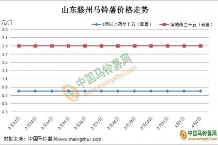 新薯上市 “薯”光已現(xiàn)？ ()