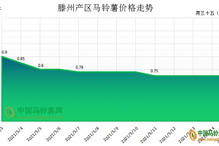 薯市購銷隨行 新薯價格以穩(wěn)為主 ()