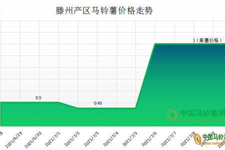 供大于需 薯價或繼續(xù)震蕩 ()