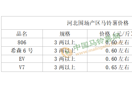 新薯以質(zhì)論價 庫薯價格平穩(wěn) ()