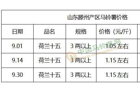 市場(chǎng)需求或增 薯價(jià)看漲？ ()