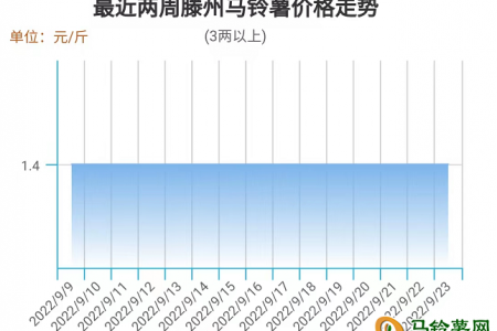 上漲支撐有力  薯價(jià)高位運(yùn)行 ()