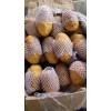 大量供應(yīng)優(yōu)質(zhì)土豆品種齊全！常年供應(yīng)！