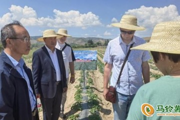 中俄專家共促馬鈴薯產(chǎn)業(yè)健康發(fā)展 ()