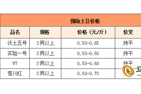 薯市行情迎來轉(zhuǎn)機？ ()