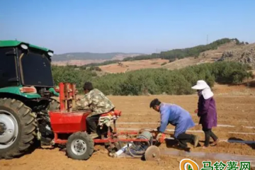 威寧秀水鎮(zhèn)：機(jī)械化助力馬鈴薯產(chǎn)業(yè)降本增效 ()