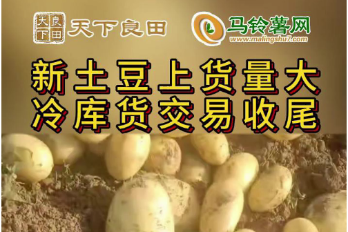 2024年4月18日山東滕州產(chǎn)區(qū)價格行情！ ()