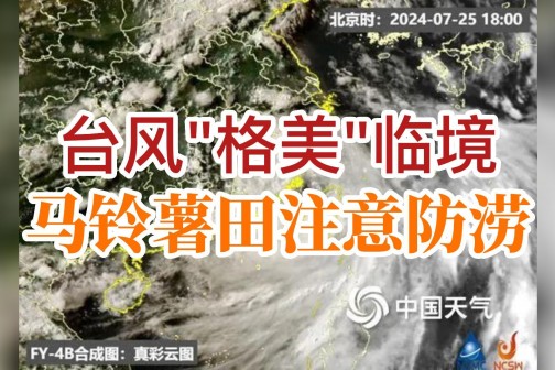 臺(tái)風(fēng)“格美”臨境，馬鈴薯田注意防澇 ()
