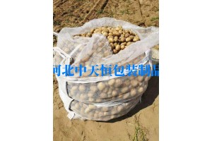 陜西種薯透氣噸包多種樣式通風(fēng)噸袋種植拌種袋子